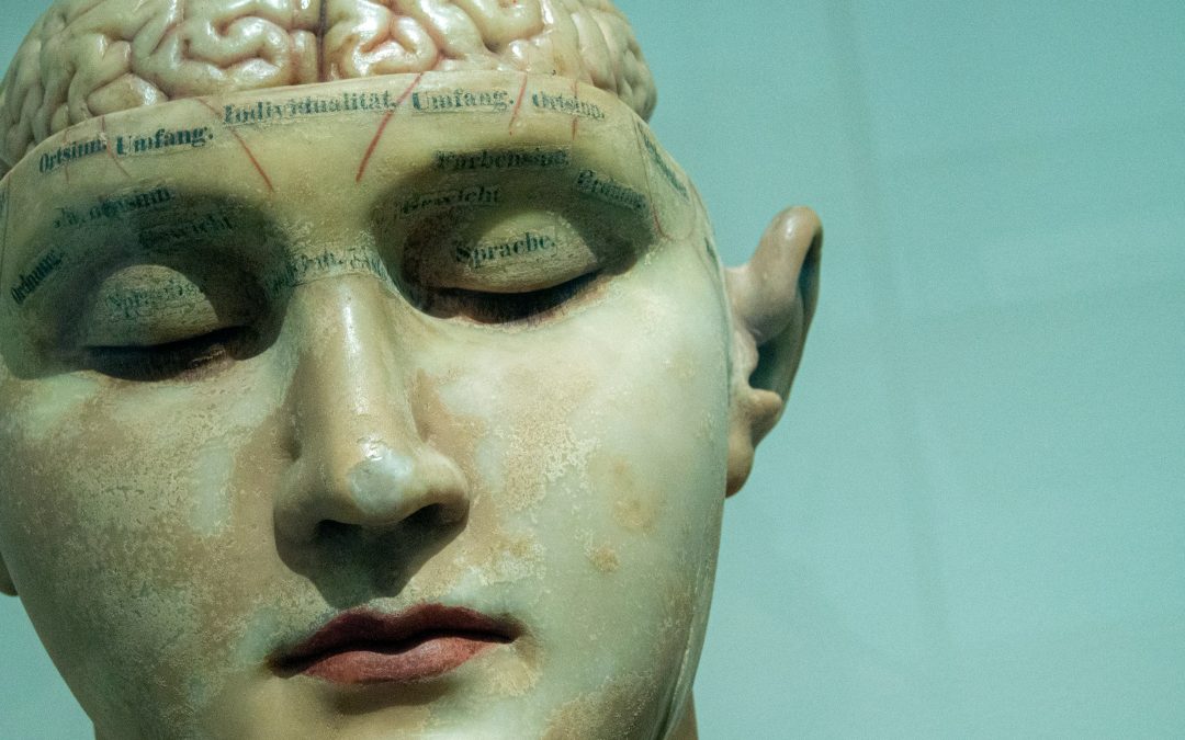 Mindset is a Verb: Setting Your Mind