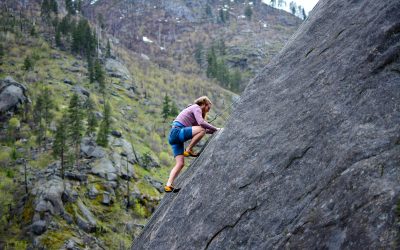 Values-Driven Risk Management