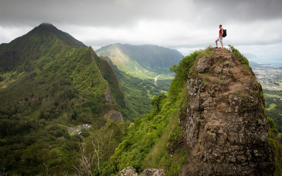 Are You High Atop Mt. Stupid?