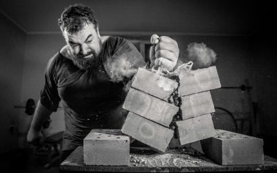 Testosterone, Risk, and Trader Brains